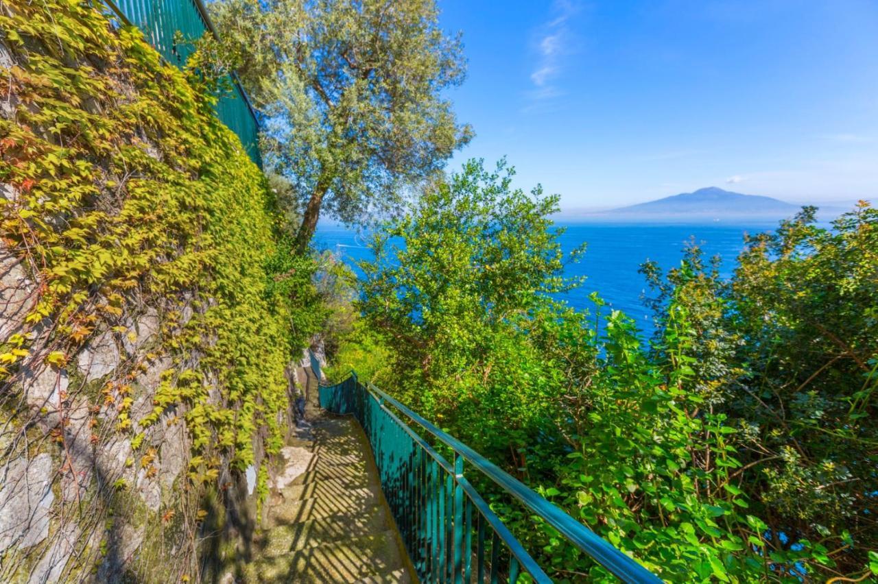 Belair Sorrente